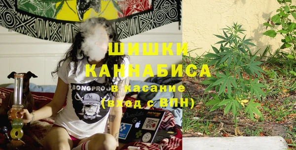 индика Абдулино